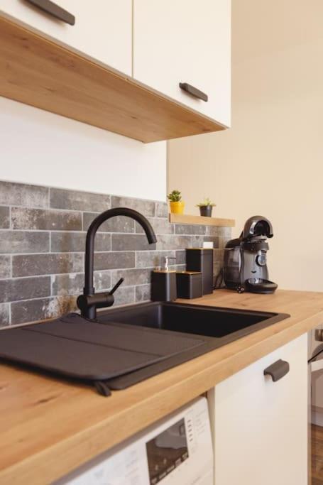 L'Aindus De Brou- Parking Prive- Rdc Apartment Bourg-en-Bresse Ngoại thất bức ảnh